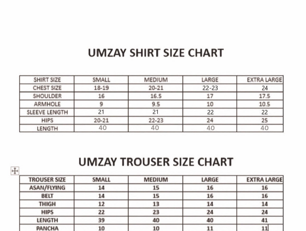umzfmr-30133